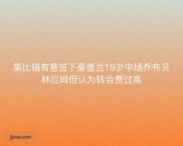 莱比锡有意签下桑德兰19岁中场乔布贝林厄姆但认为转会费过高